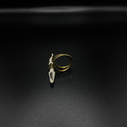 The Fang Ring